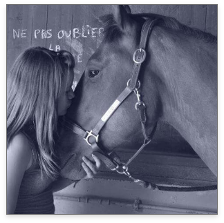 fille baiser cheval